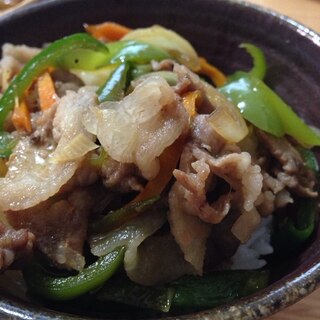 彩り綺麗な、豚丼